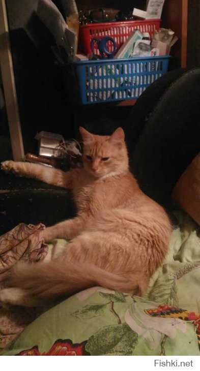 ваще пооооооооооооооооо.............уй.