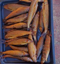 Свежий сибирский харюзок!