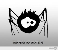 Страшная находка на потолке