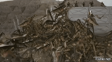 Страшная находка на потолке