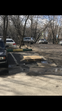 А это у нас во дворе тоже есть особенный "привилегированный" житель. Если убрать палет, в следующий раз положит новый, как ни в чем не бывало