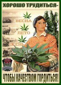 Монашки за натуральный продукт