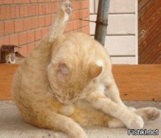 Ну и по традиции: