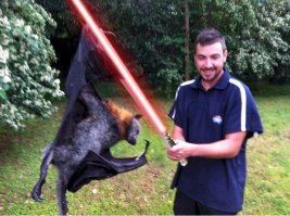 28 причин, по которым от Австралии стоит держаться подальше