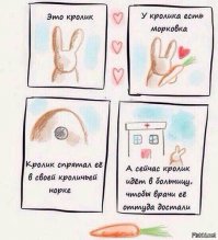 Фотоподборка за 26.04.2017