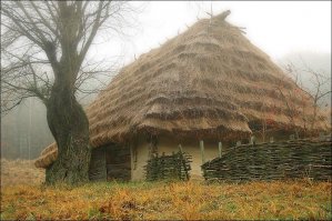 Фото без темы