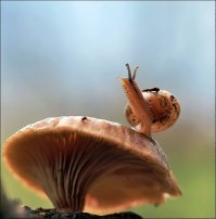 Фото без темы