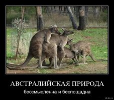 28 причин, по которым от Австралии стоит держаться подальше
