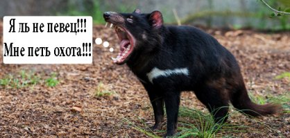 Тасманский дьявол