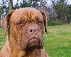 Взгляд так и говорит: - Ну что, закончил!?