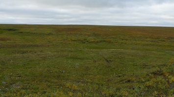 очень там летом даже зелено, а весной и осенью просто буйство красок