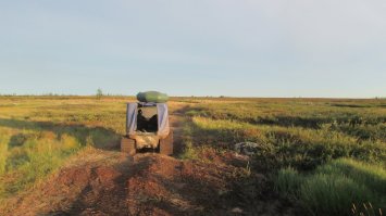 очень там летом даже зелено, а весной и осенью просто буйство красок