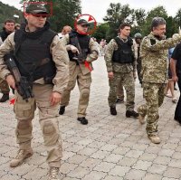 Петухи с "петухами", гуляют.