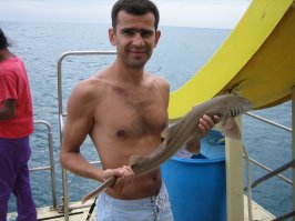 Пфф, тоже мне новость, вот мой улов!