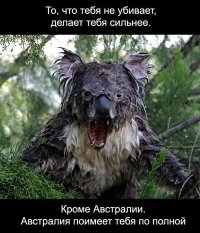 28 причин, по которым от Австралии стоит держаться подальше