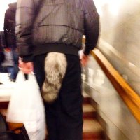 Когда вопросов больше, чем ответов