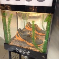 Ecco - крутецкая обувь, я её фанат
