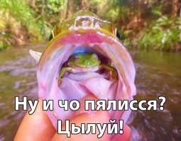 Окунь с живым сюрпризом внутри