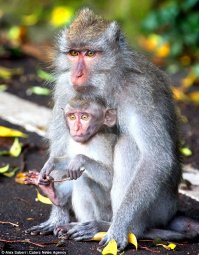 Молодая мама из Саратова рулит с ребенком на руках