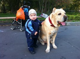 Кане-корсо.. кг так 60 эта блондинка весит...