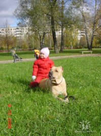 Кане-корсо.. кг так 60 эта блондинка весит...