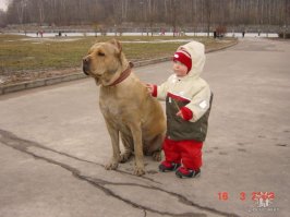 Кане-корсо.. кг так 60 эта блондинка весит...