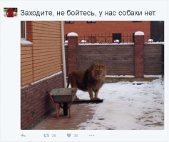 Хорошей собаки должно быть много!