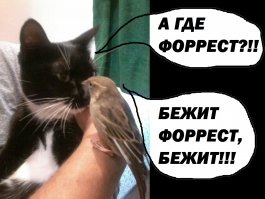 Чудеса случаются , пусть даже такие маленькие