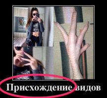 Видимо, подпись к картинке эта же курица писала