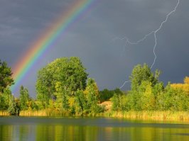 Фотоподборка за 28.04.2017