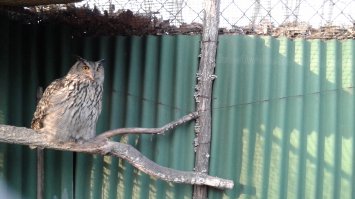 Фотоподборка за 28.04.2017