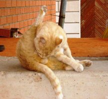 В Припяти впервые за три десятилетия включили свет: впечатляющие кадры