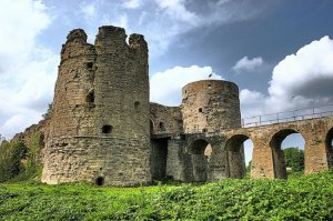 Замок-крепость Копорье.