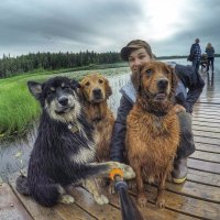 Российская действительность и собаки