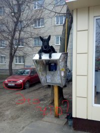 Российская действительность и собаки