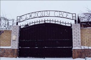 От этого безумия хочется просто закрыть лицо рукой