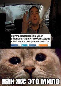 Он взял этот грязный двухнедельный комочек и выкинул в кусты умирать