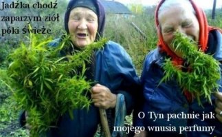 Бабки - астрологи...:)