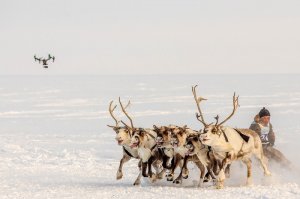 На этом фото кажется, что оленям тоже по-кайфу)))