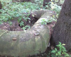 Вот такая хрень обнаружена недалеко от Финского залива. Металл 3 мм. Что это, кто- нибудь знает?