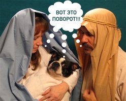 Перлы из семейных альбомов