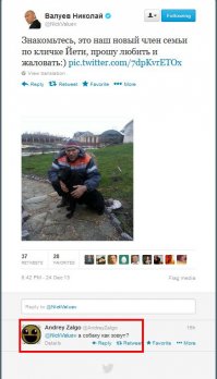 В Нидерландах объявился снежный человек?