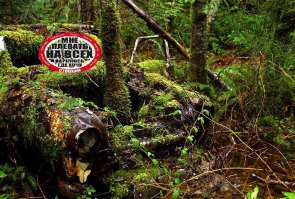 Вещи, предметы и сооружения, забытые на пляже