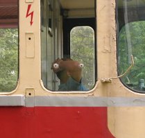 Родственник, наверное...