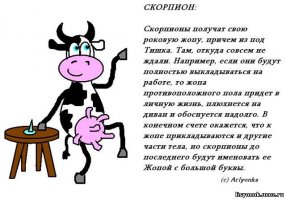 Не умеете вы ценить Жопу