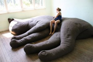 Кошки, достойные "Оскара"
