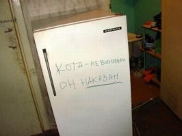 Вот, что действительно стоит оставлять на холодильнике, а не магнитики из Джубги