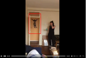 у них на стене вон хрень какая, а они птичку испугались))))