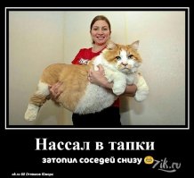 Этот мэйкун просто обожает обнимашки!