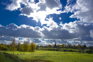 Да, Суздаль особенный, Это город-музей. В центральной части запрещено строительство выше трёх этажей и каждый проект надо утверждать)) Дом ты снести НЕ МОЖЕШЬ, ибо это культурная ценность - перестроить, или построить новый - да, но утверждай проект. ЕСЛИ МЕНЯЕШЬ фундамент - проводи раскопки)) или давай на лапу приличную сумму. Там нет ни одного бетонного строения в черте старого города (я не видел), даже автовокзал, тур-комплекс и спальный район вынесены за основной периметр города.  Ужасающая картина наблюдалась в нулевых годах - пол города в руинах, пустые дома, до сих пор гнилых и пустых домов масса, ибо за участочек просят по 5-10 лямов.  Сейчас отстраивают, не всегда достойно, но домиков красивых масса. Хочется верить что К Путину вешают плакаты - пожалуйста. Я их наблюдая каждый год и с Вованом и Димосом не пересекался. Мало того, что наблюдаю, так и фоткаю))

По поводу берёзок - Народ Возмутился, на местном уровне шумиха была (телек/блоги). Лично наблюдал этот пиз/дец. Вроде обещали больше такой хрнёй не страдать, но кто их знает?